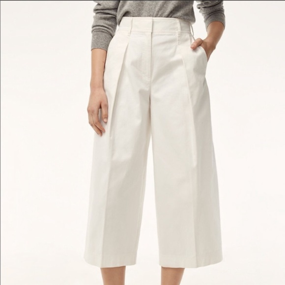 Aritzia Pants - The Group By Babaton Pleated Wide Leg Crop Pant